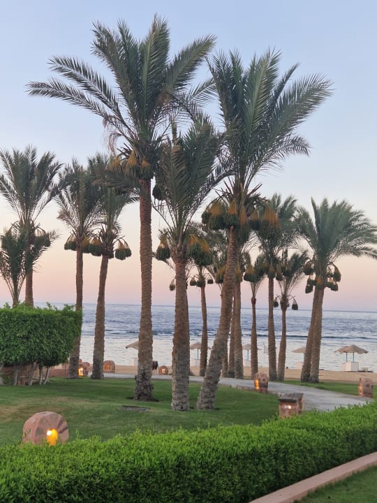 Gartenanlage Radisson Blu Resort, El Quseir