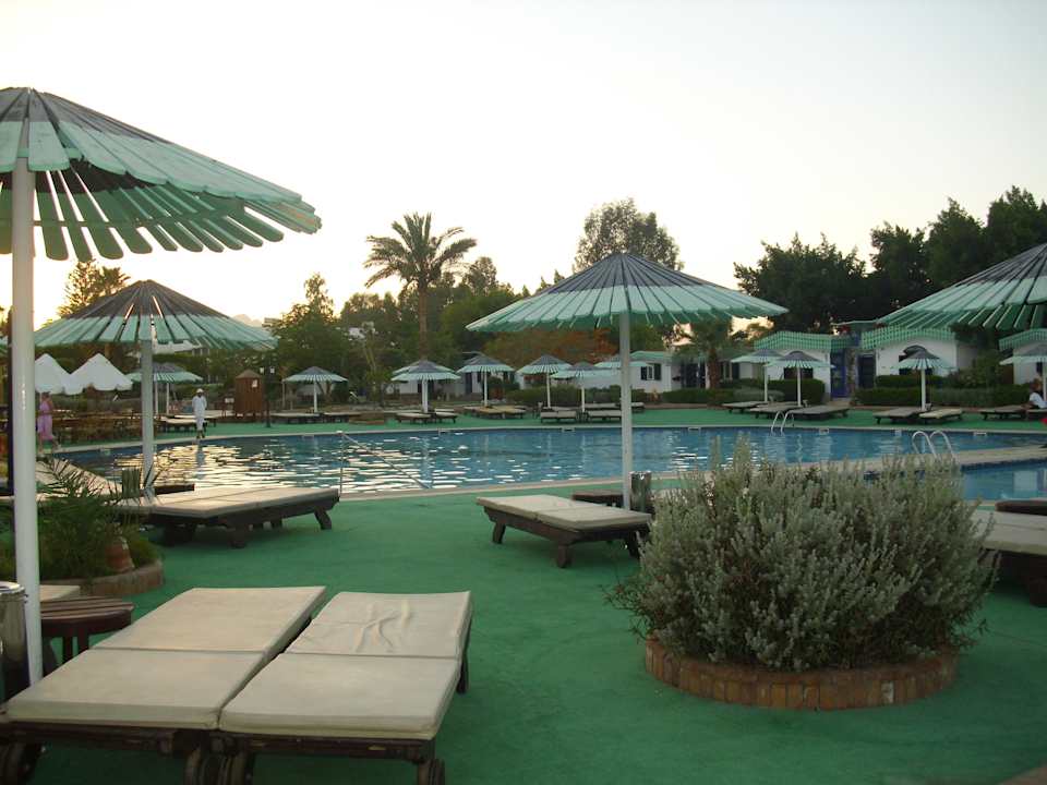 Pool Ghazala Beach