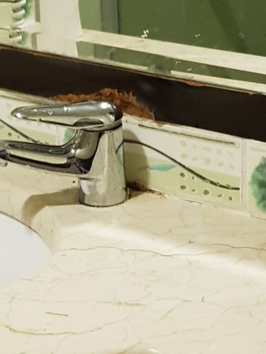 Zimmer Hotel Orfeus Park