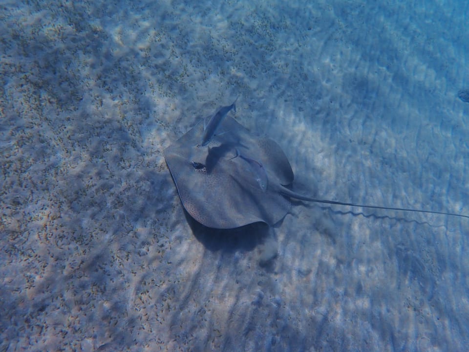 Sport & Freizeit Malikia Resort Abu Dabbab