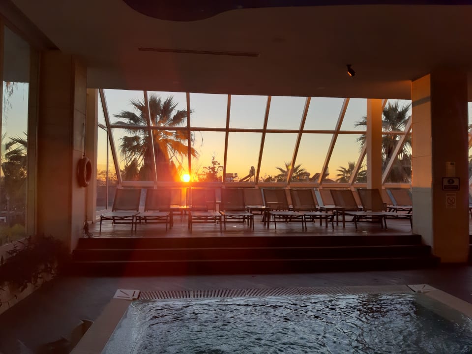 Pool Side Star Elegance