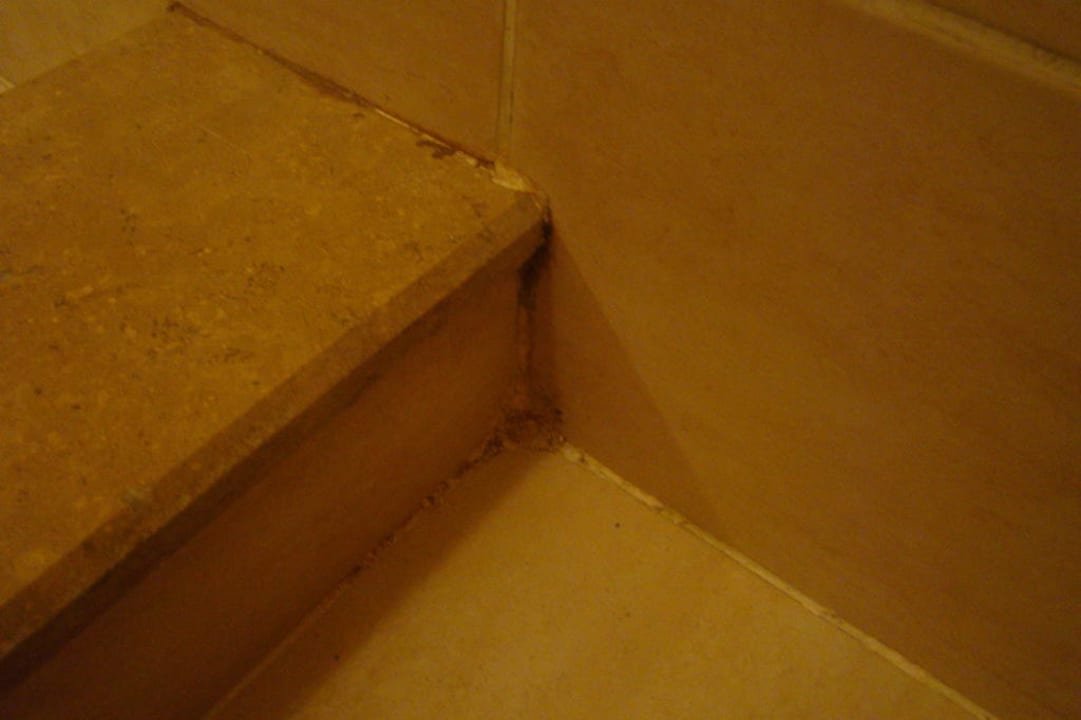 Kolejne grzyby JAZ Belvedere Resort