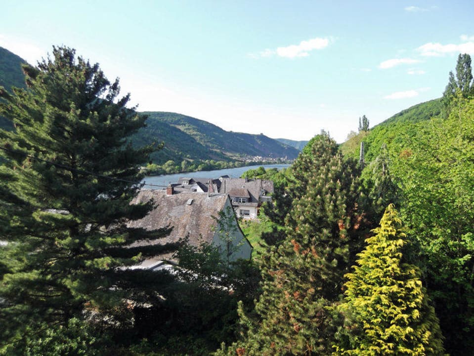 Ausblick Hotel Moselperle