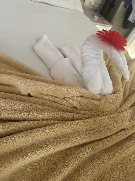 Zimmer LİLYUM HOTEL