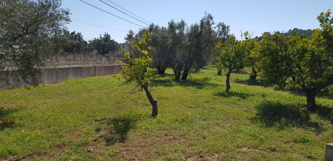 Gartenanlage allsun Hotel Bahia del Este