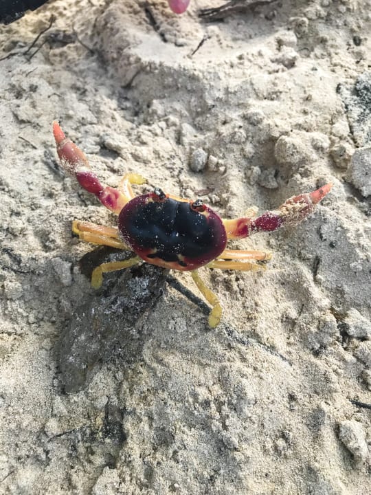 Strand Bahia Principe Grand El Portillo