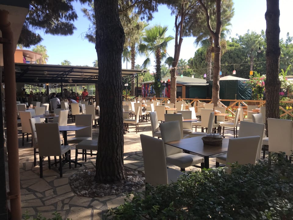 Gastro Club Turtas Beach Hotel