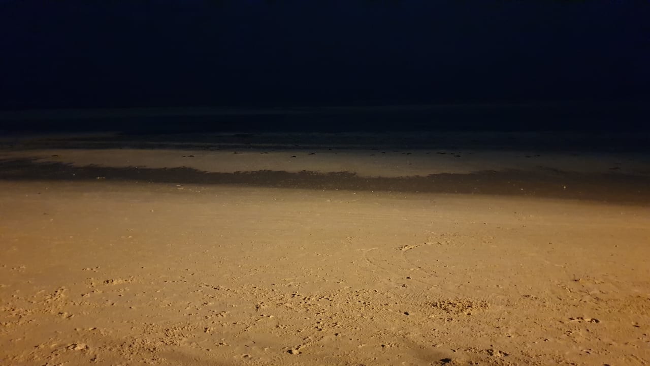 Strand Neptune Pwani Beach Resort & Spa