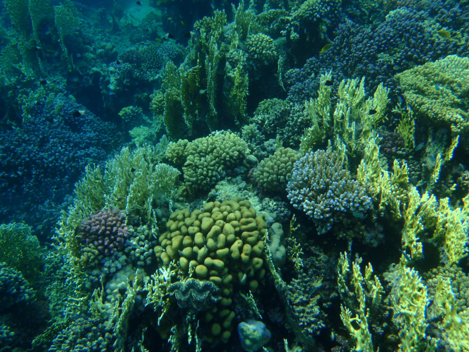 Strand Brayka Bay Resort