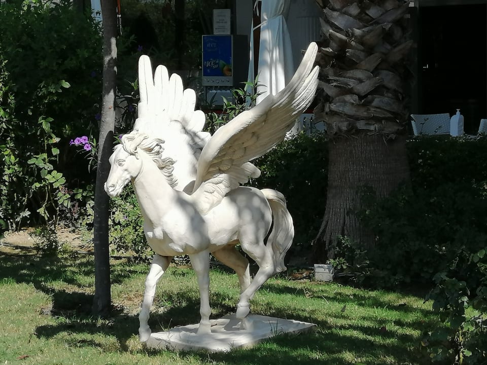 Gartenanlage Dream World Aqua Hotel