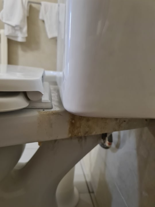 Zimmer Aparthotel Playa Dorada