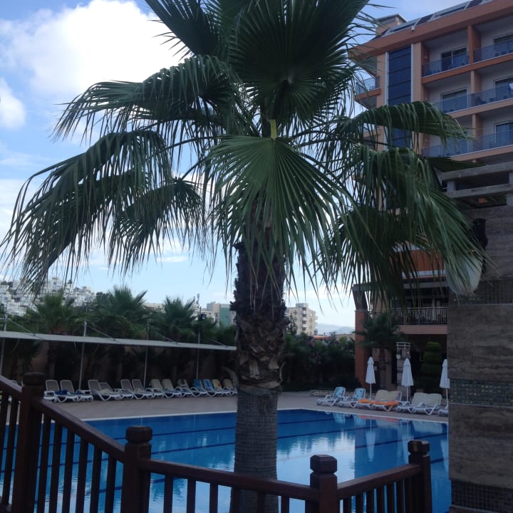 Pool Dizalya Palm Garden