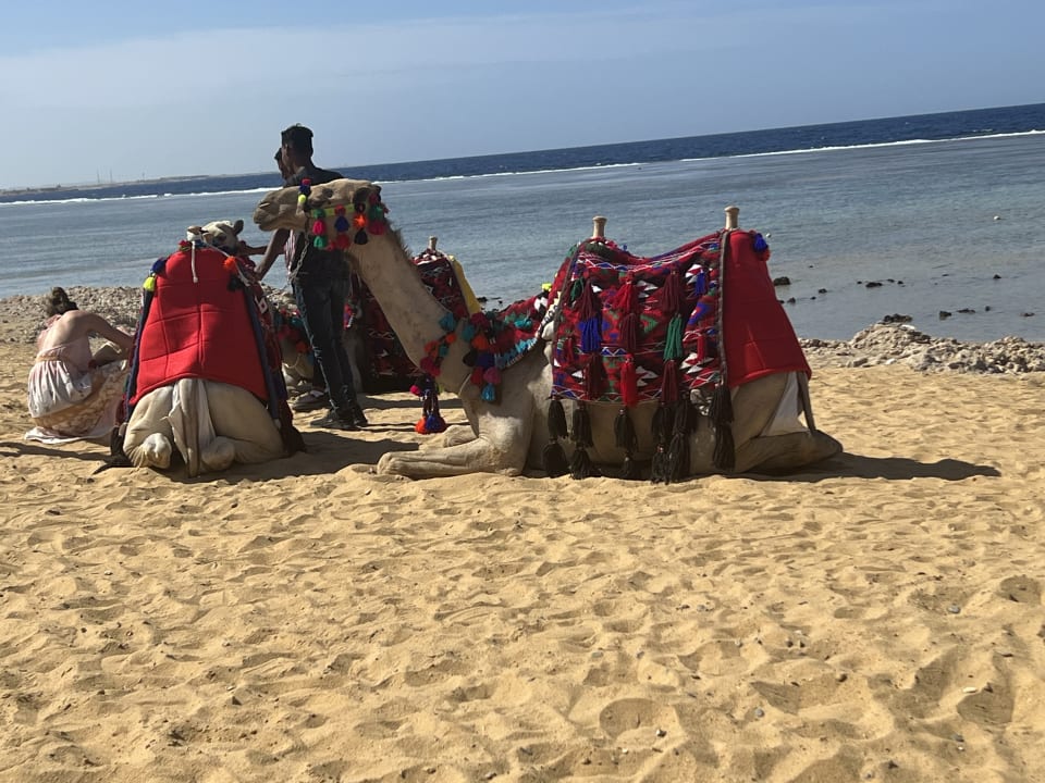 Sport & Freizeit Lazuli Hotel Marsa Alam