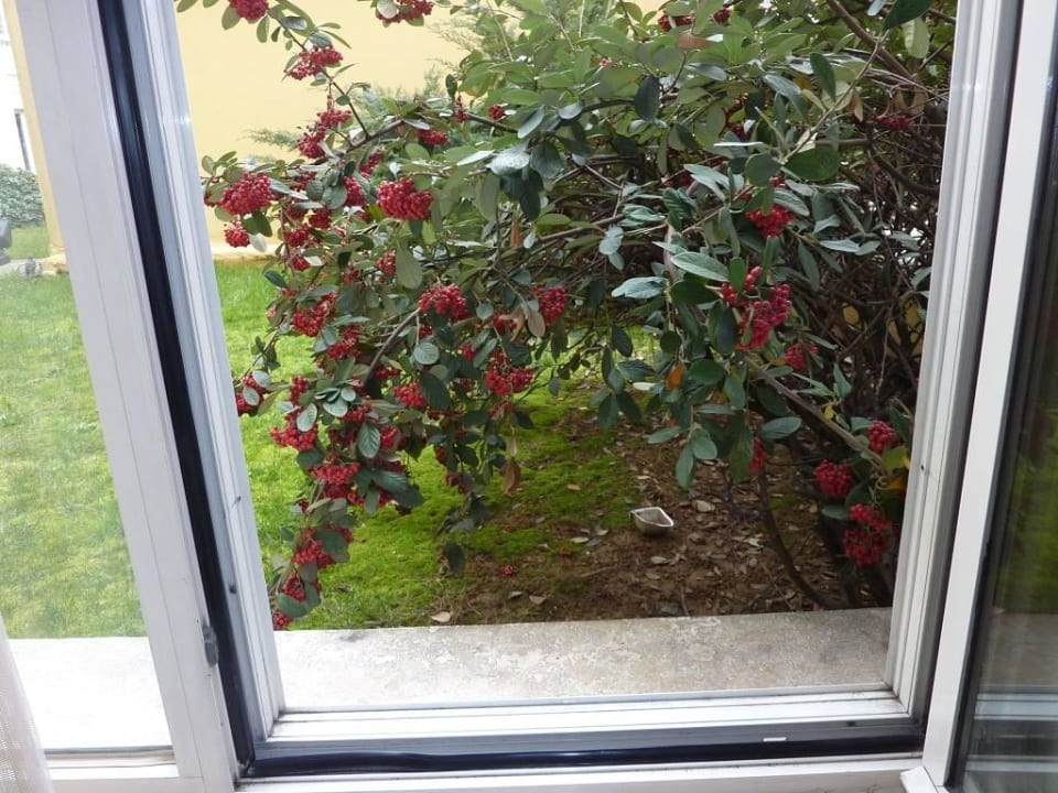 Ausblick aus dem Zimmer aus dem 2.Stock !!! Eresin Hotels Topkapı