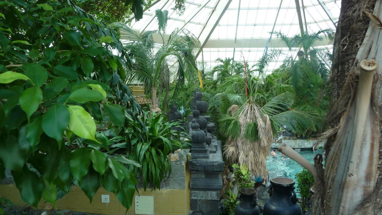 Zwembad Center Parcs De Eemhof