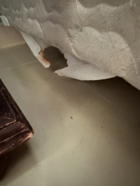 Zimmer Grand Palladium Select Bávaro Resort & Spa