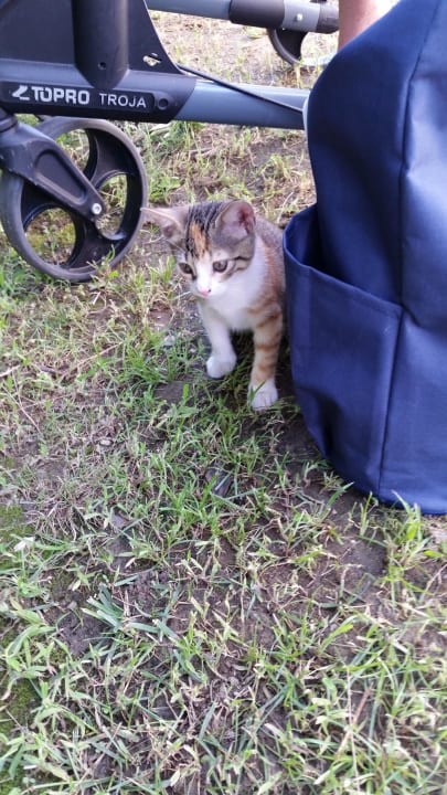 Lilly beim Spielen Sunis Evren Beach Resort Hotel & Spa