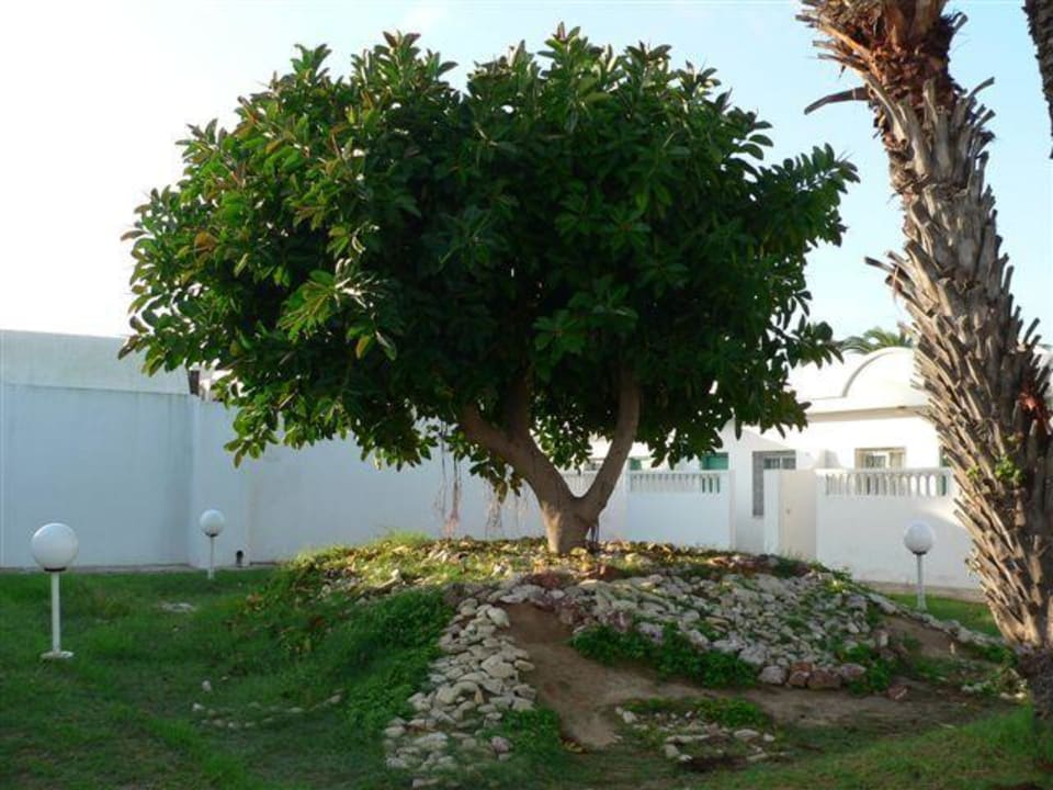 Gartenanlage El Mouradi Club Kantaoui