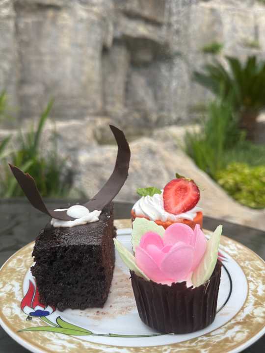 Gastro Saphir Resort & Spa