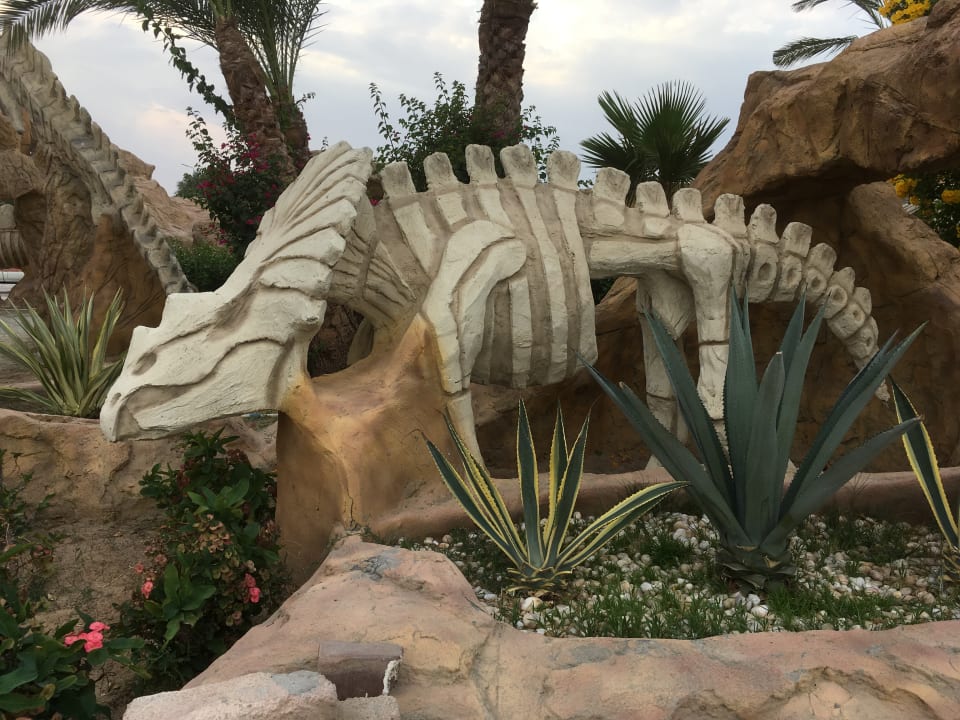 Sonstiges Hotel Caves Beach Resort (Adults Only)