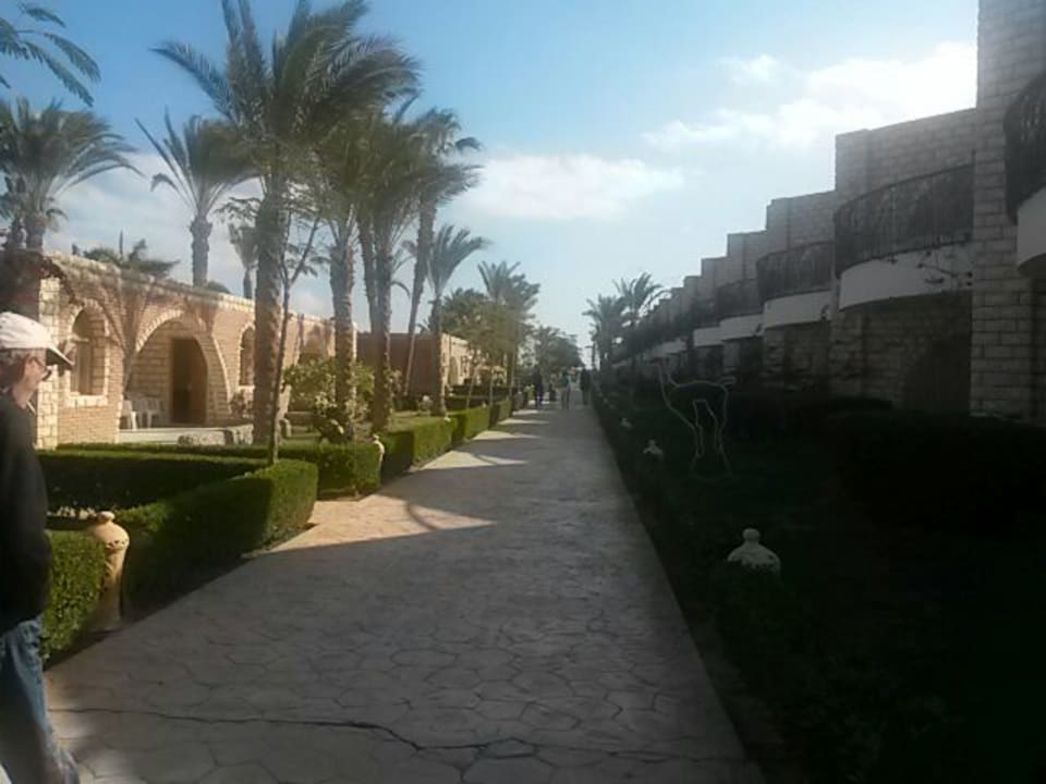 Alles super Aladdin Beach Resort