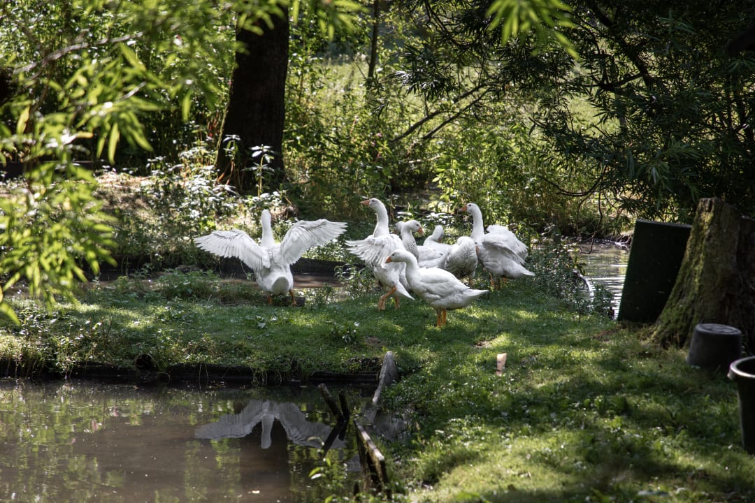 Gartenanlage Ferienhof Neumühle