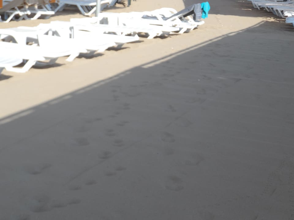 Immer sauber Seamelia Beach Resort