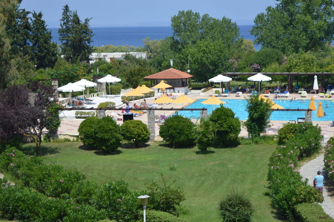 Ogród Hotel Athos Palace