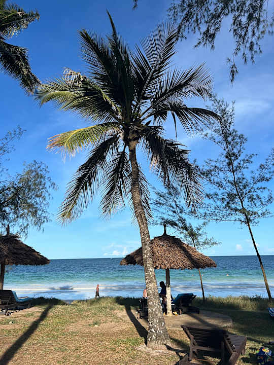 Gartenanlage Hotel Diani Sea Lodge