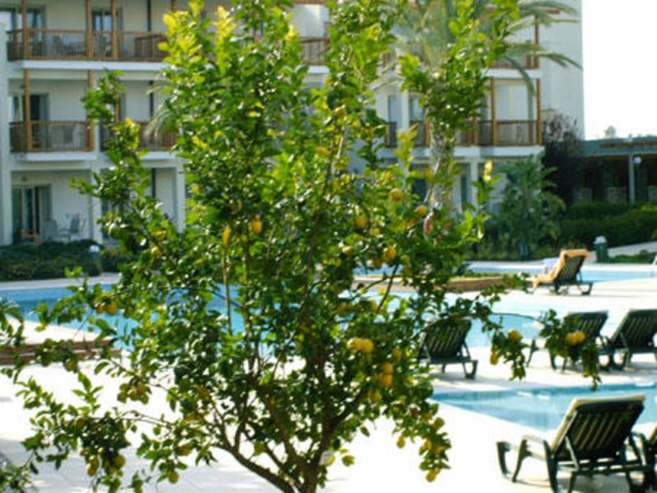 Poolanlage der Residenzen Lara Barut Collection