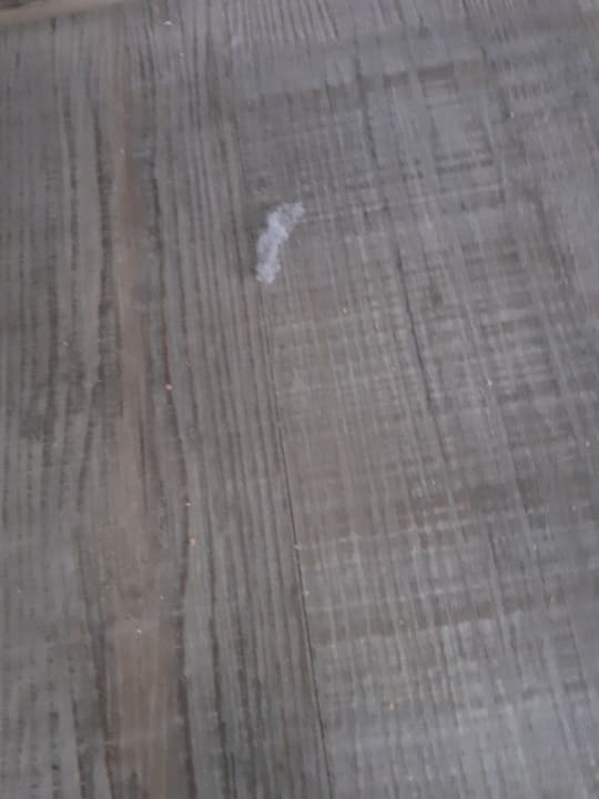 Zimmer Garner Hotel Vienna