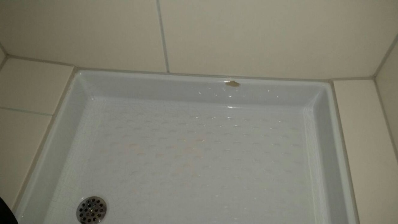 Duschtasse abgeplatzt Egon Hotel Hamburg City