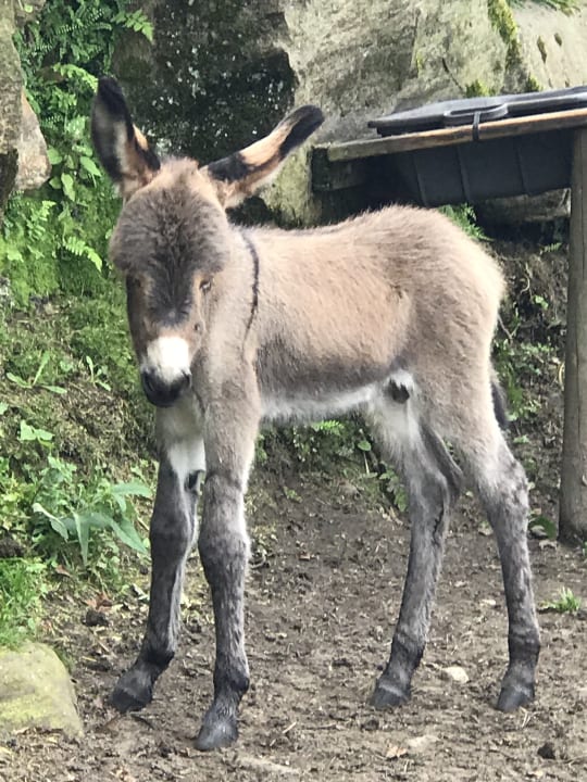 Sonstiges Hotel La Campagnola