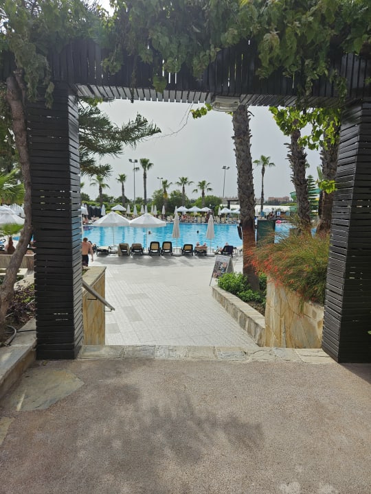 Pool Alba Resort Hotel