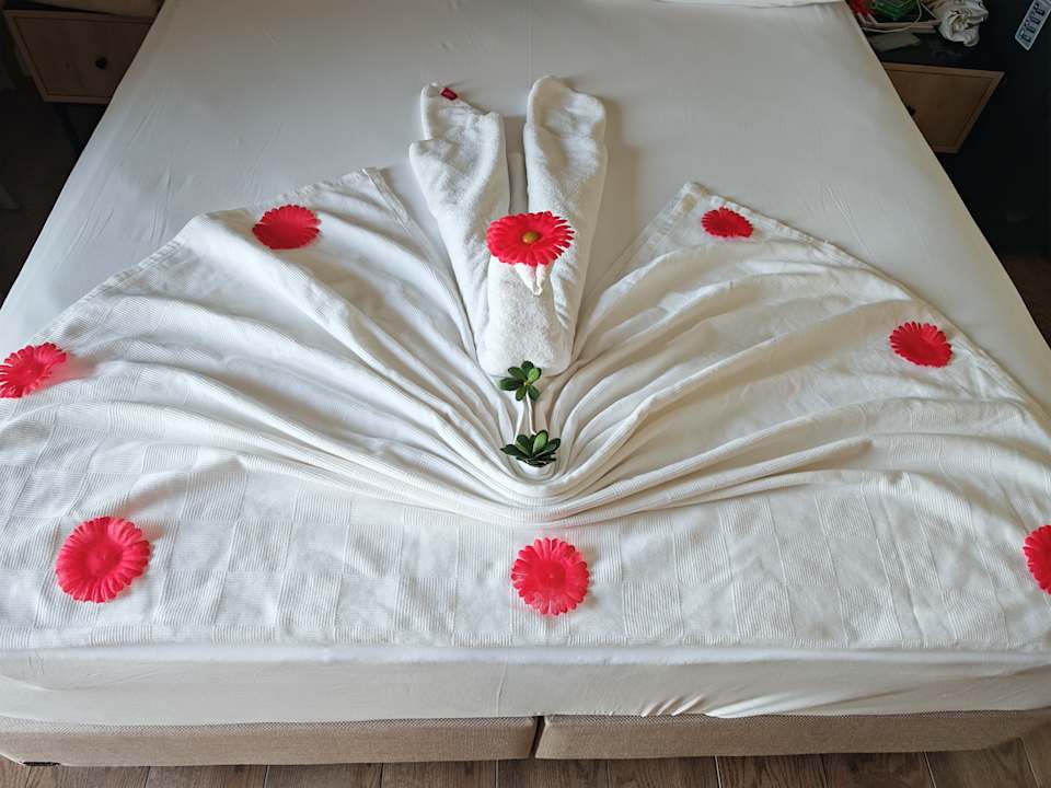 Zimmer Aydinbey Kings Palace & Spa