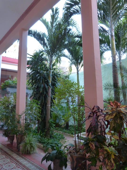 Inner courtyard Hostal Autentica Pergola