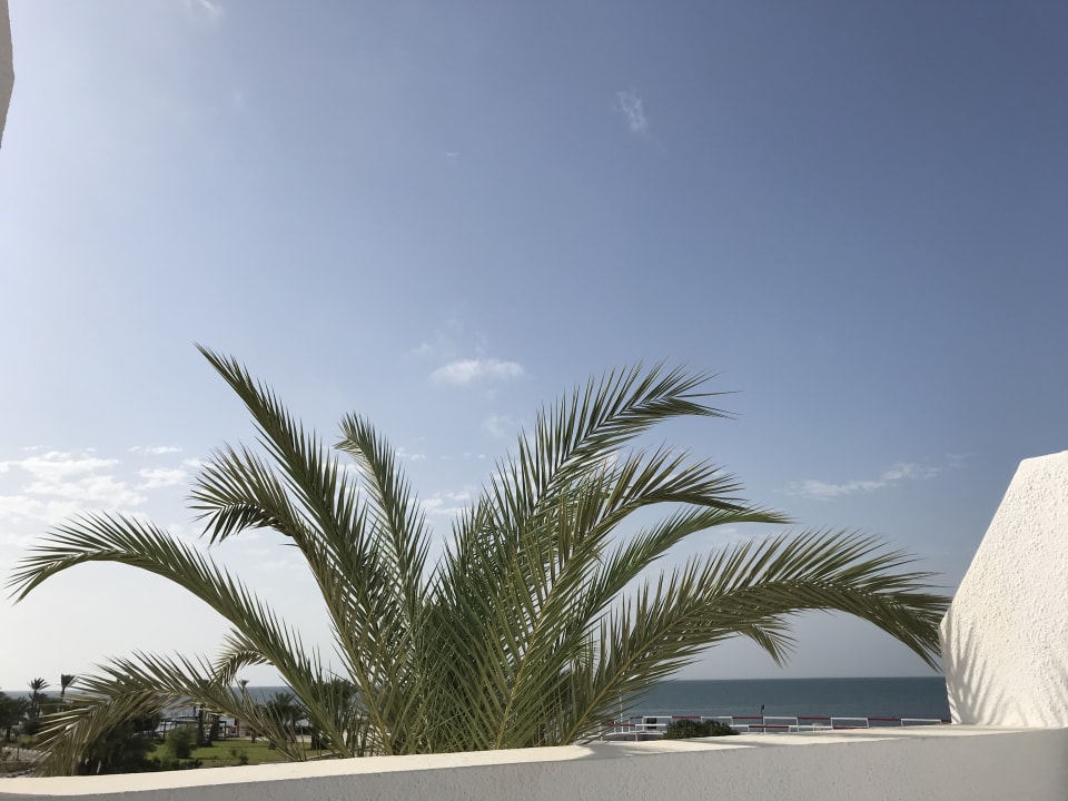 Ausblick Hotel El Mouradi Djerba Menzel