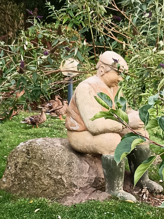 Gartenanlage Residenz Seestern