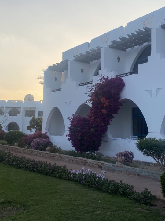 Gartenanlage Three Corners Equinox Beach Resort