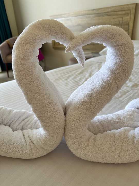 Zimmer Three Corners Sea Beach Resort