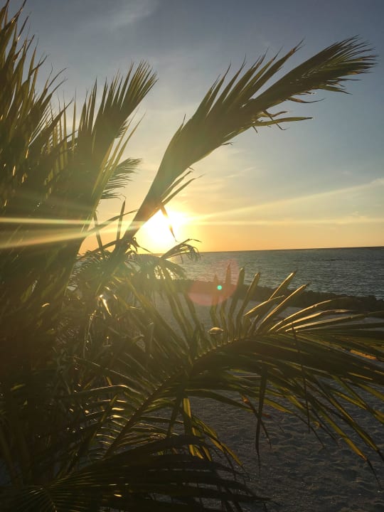 Strand / Sonnenuntergang Summer Island Maldives