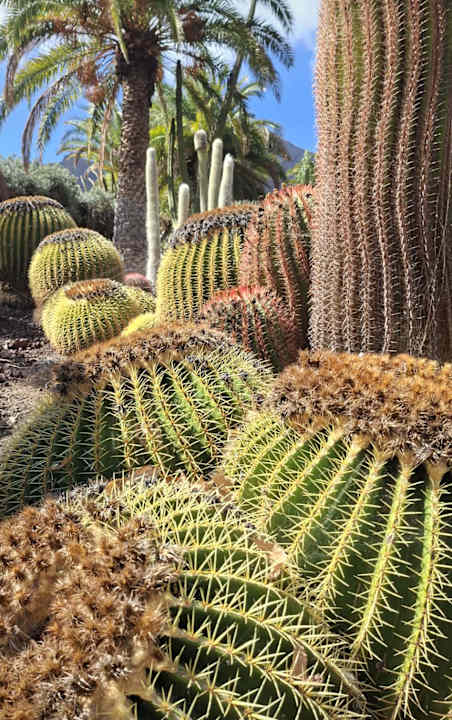 Sport & Freizeit Bull Escorial & Spa