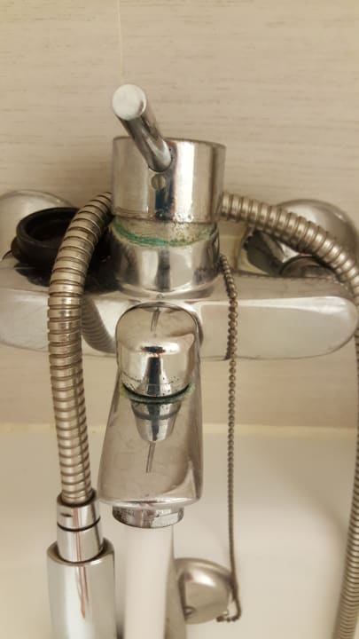 Zimmer blau punta reina