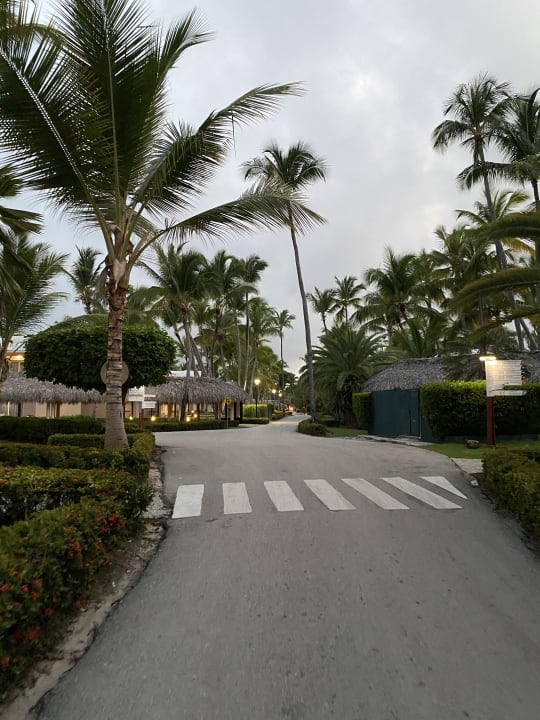 Sonstiges Grand Palladium Select Bávaro Resort & Spa