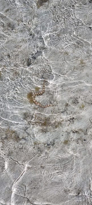 Strand Casa Mare Resort