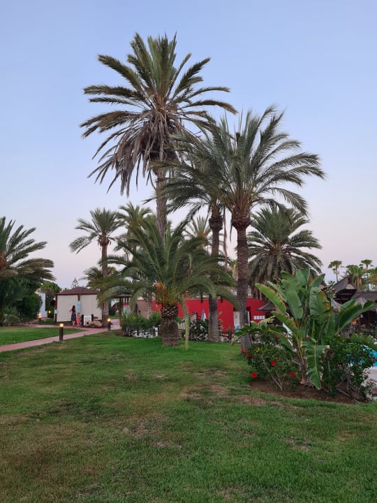 Gartenanlage HL Miraflor Suites Hotel