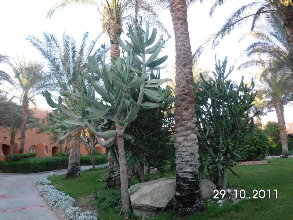 Wunderschöne Anlage Jaz Makadi Oasis Resort