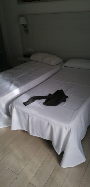 Zimmer Hotel THB Flora