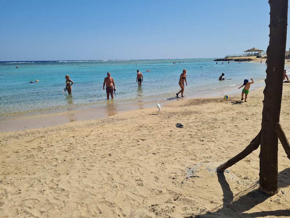 Außenansicht Pickalbatros Vita Resort - Portofino Marsa Alam