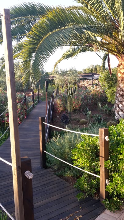 Gartenanlage Finca Ses Rotes Velles